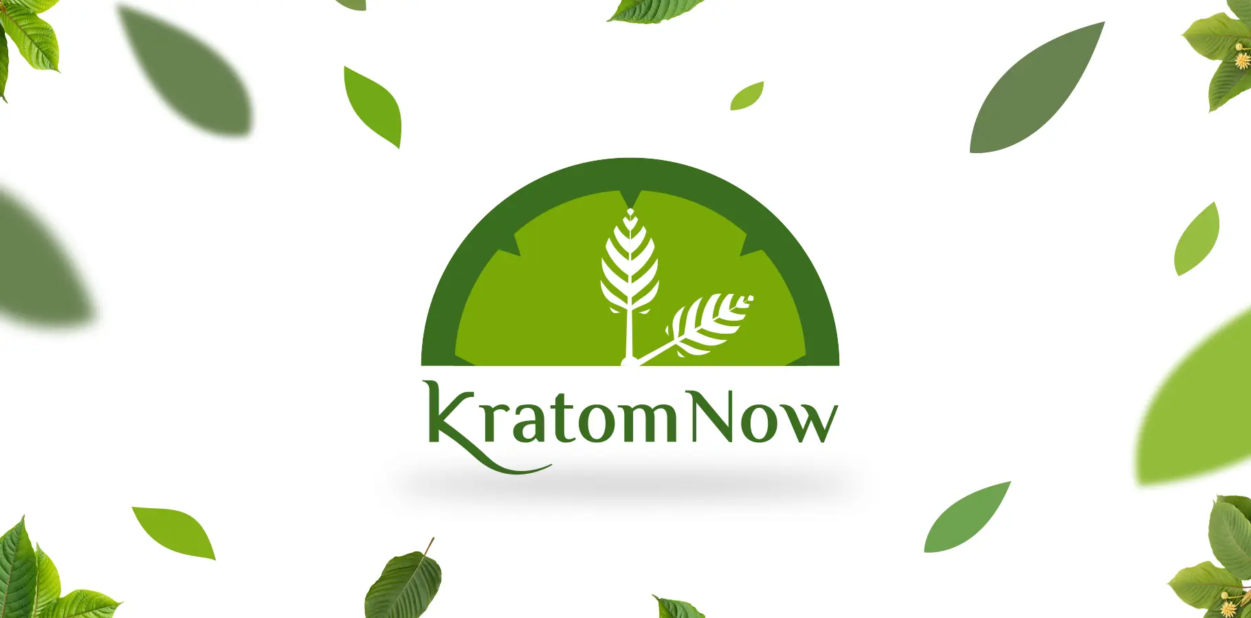 Kratom Now Store